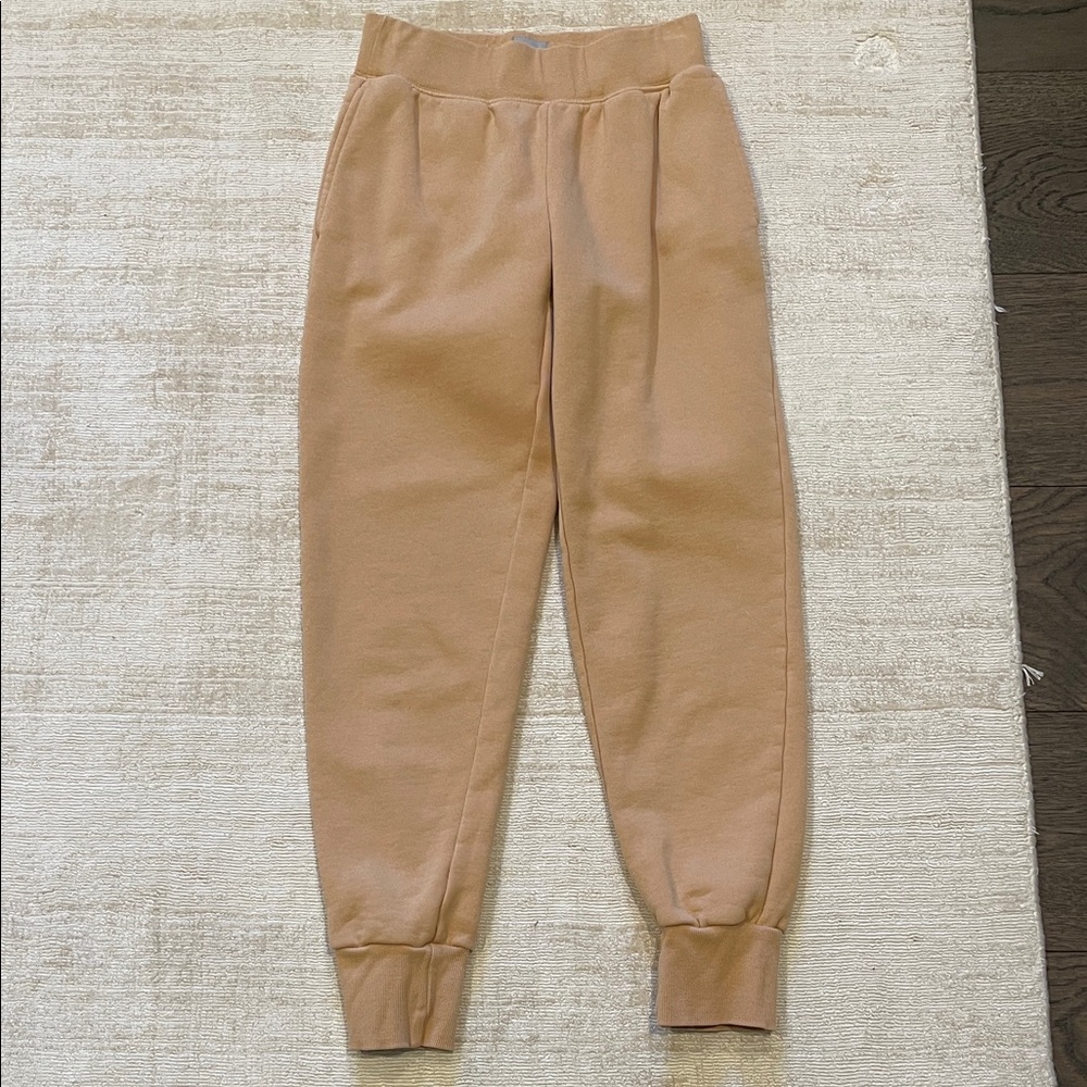 Aritzia Tna CozyAF Fleece Sweatpants